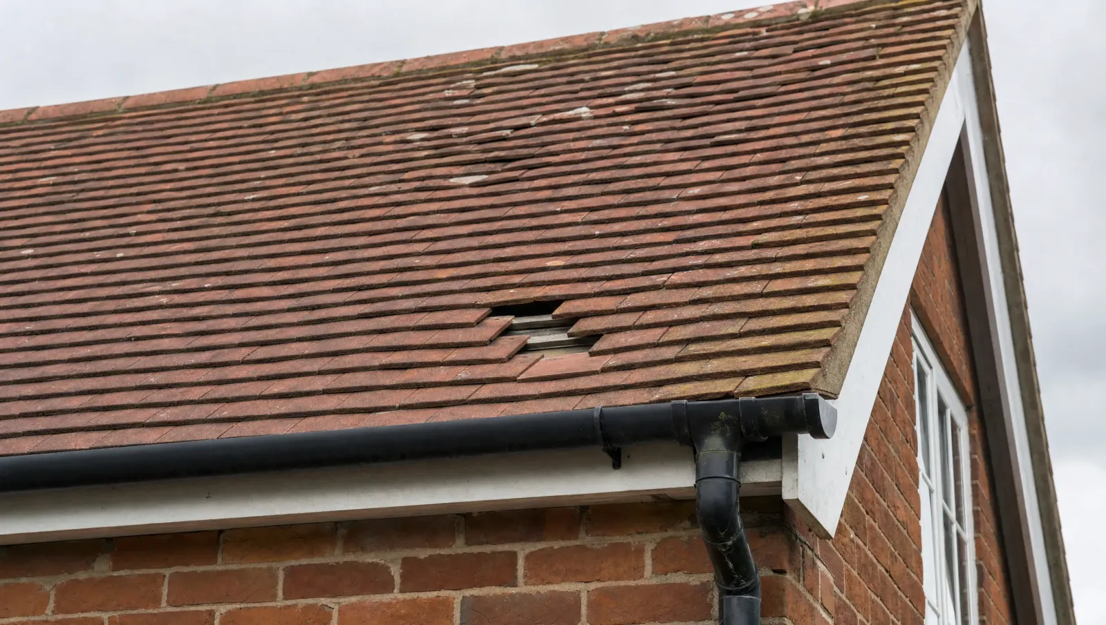 Close view of secure slate tiles and a tiled roof verge